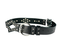 画像をギャラリービューアに読み込む, A01 Dog coller studs belt