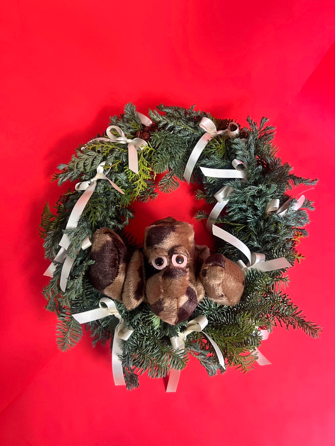 SIIILON Official online store